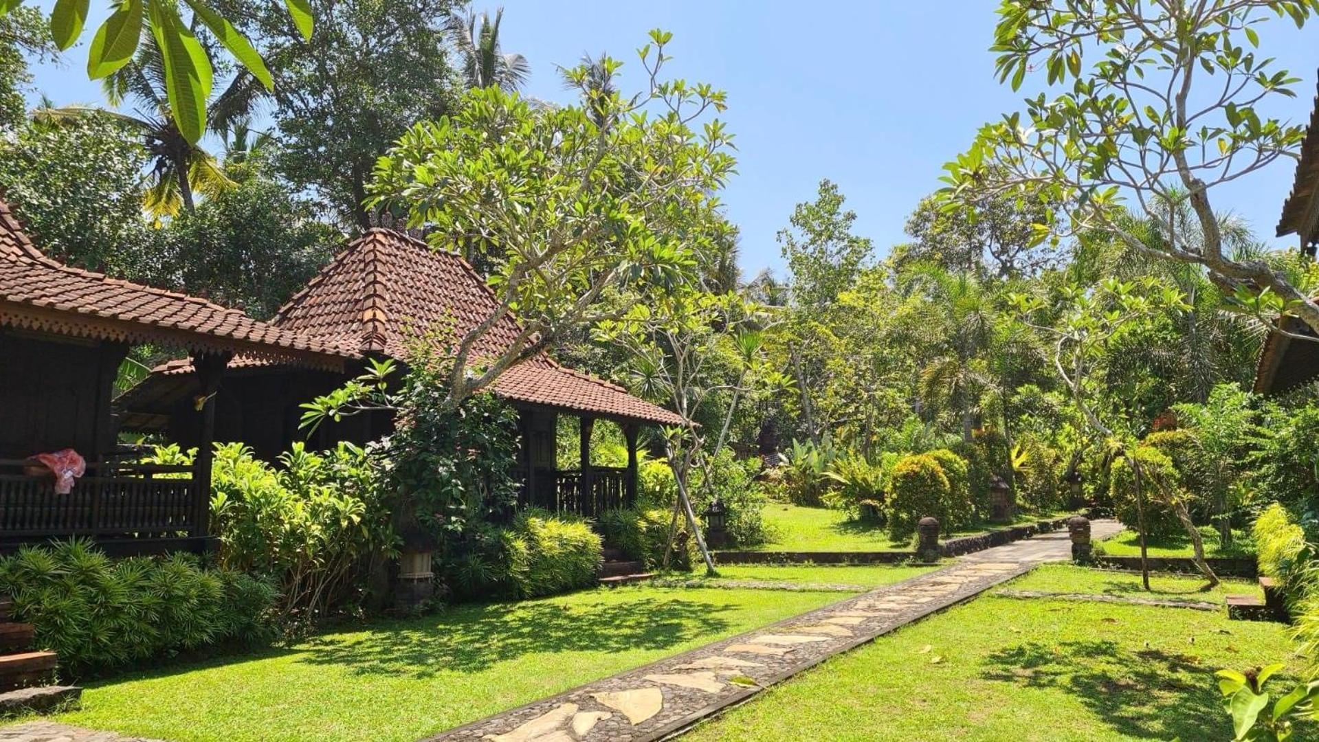 Alas Arum Ecolodge Selemadeg المظهر الخارجي الصورة